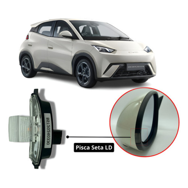Pisca Seta Byd Retrovisor Dolphin Dolphin Mini E Plus
